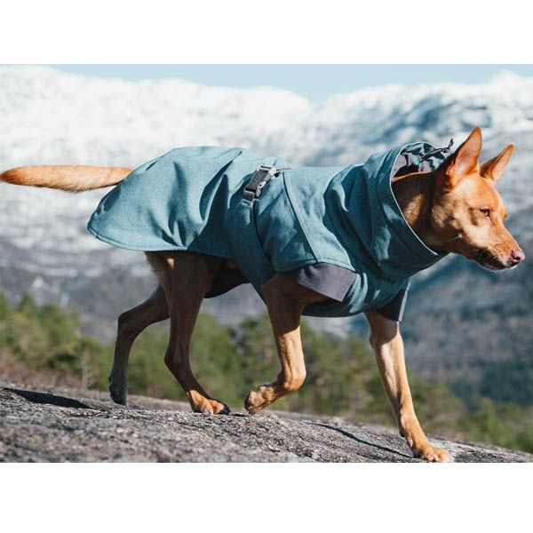 parka5