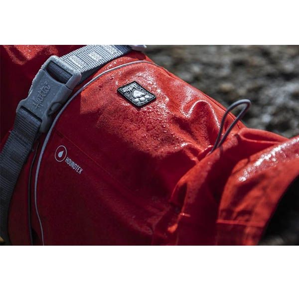 monsoon eco2