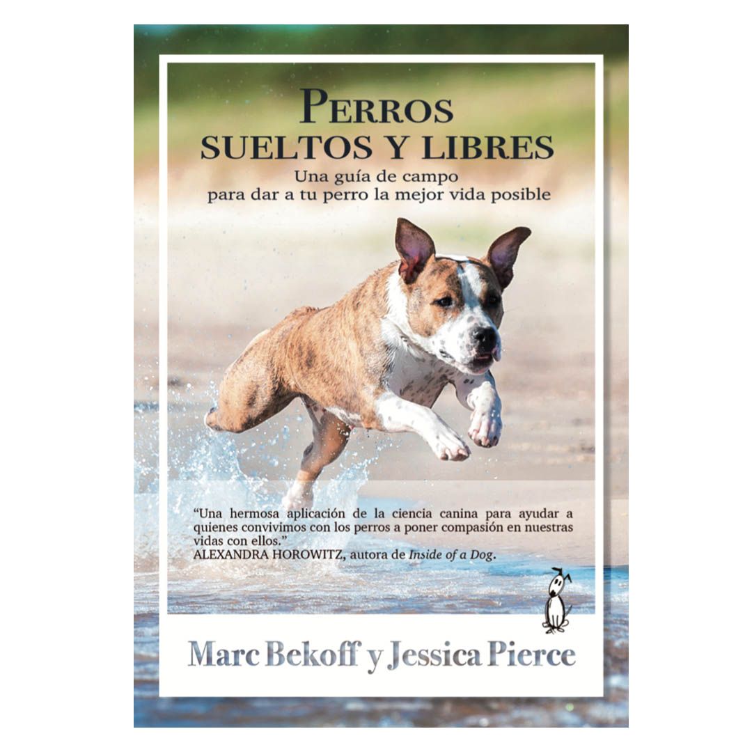 perros sueltos y libres