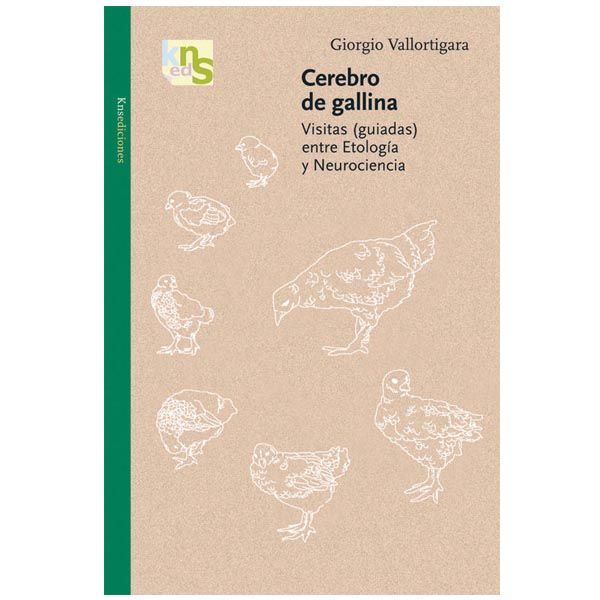 cerebrodegallina