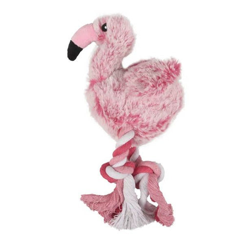 flamenco