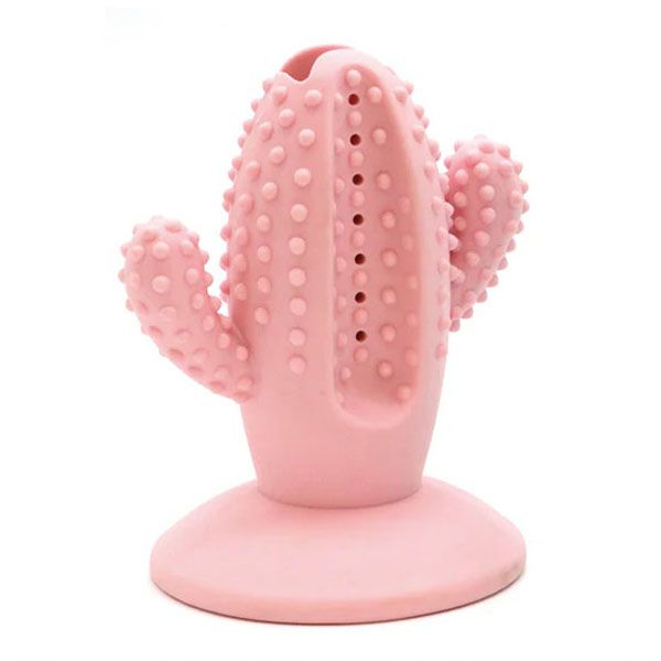 cactus7