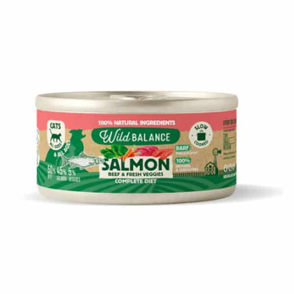 salmon