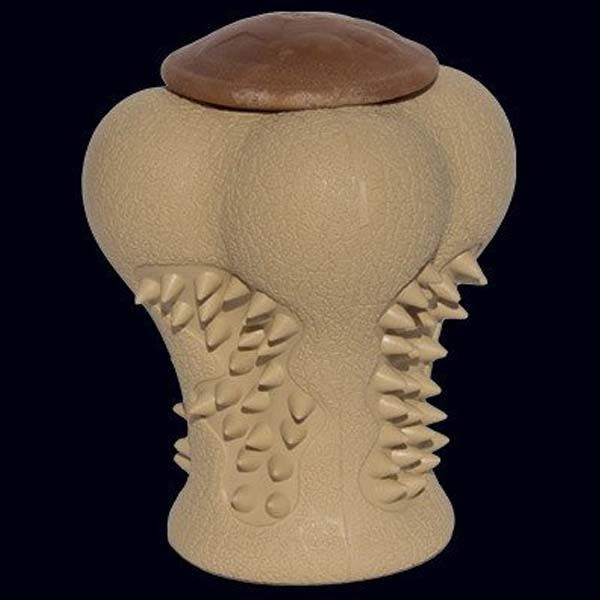 treat bone1