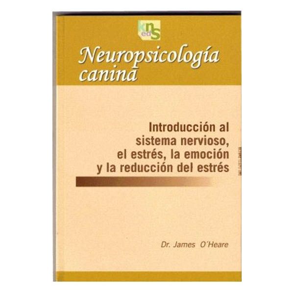 neuropsicologia