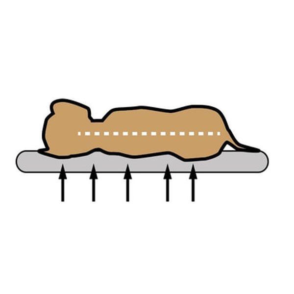 cama
