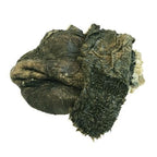 tripa_verde_entera_1_82b6d77f-fe32-43ee-93b9-56c64ac5c337_large